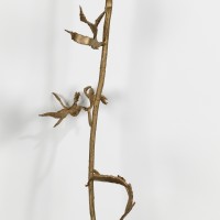 <a href=https://www.galeriegosserez.com/gosserez/artistes/vettier-aurece.html>Aurèce Vettier</a> - bitter hemp